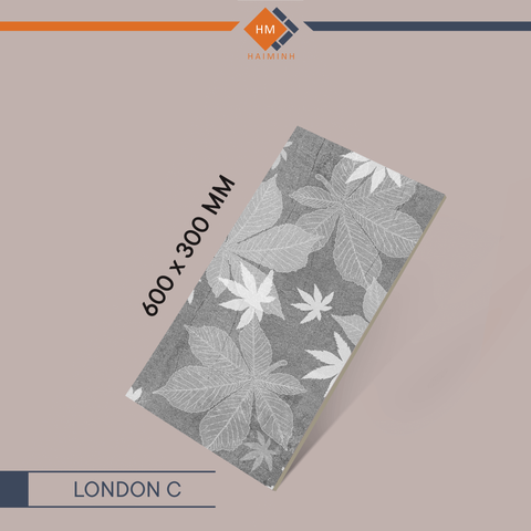 Gạch Ecotiles - LONDON C - LONDON Series