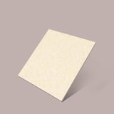 Gạch Taicera P67703N - Crystal Powder Series