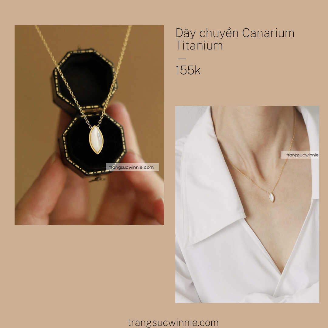  Dây chuyền titan Canarium 