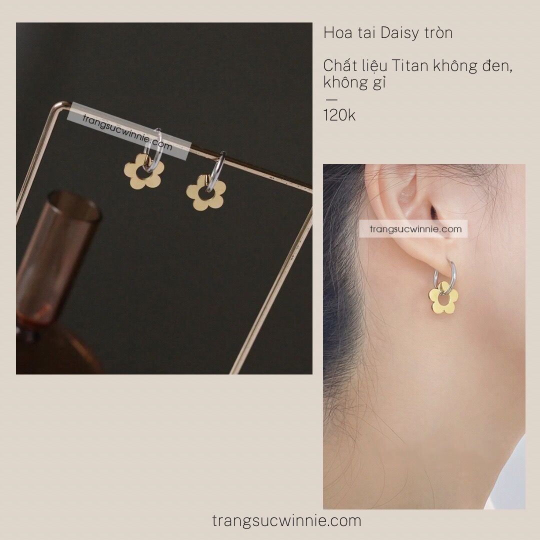  Hoa tai titan Daisy tròn 