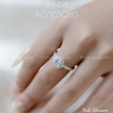  Nhẫn Bạc S925 Halo Blossom 