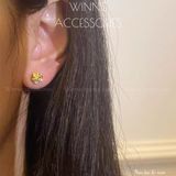  Hoa tai Titan Bi Rose 