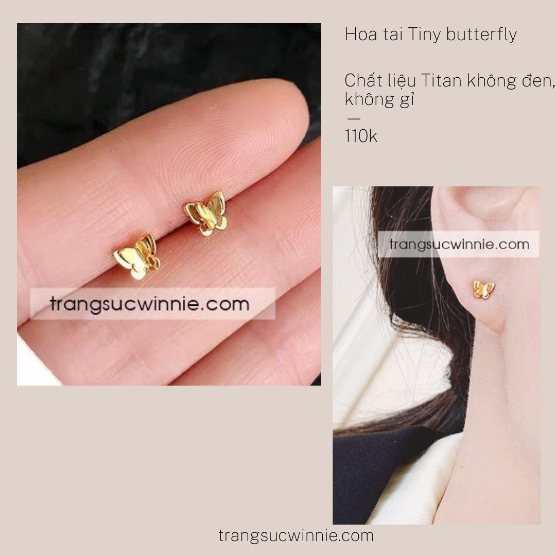  Hoa tai titan Tiny butterfly 