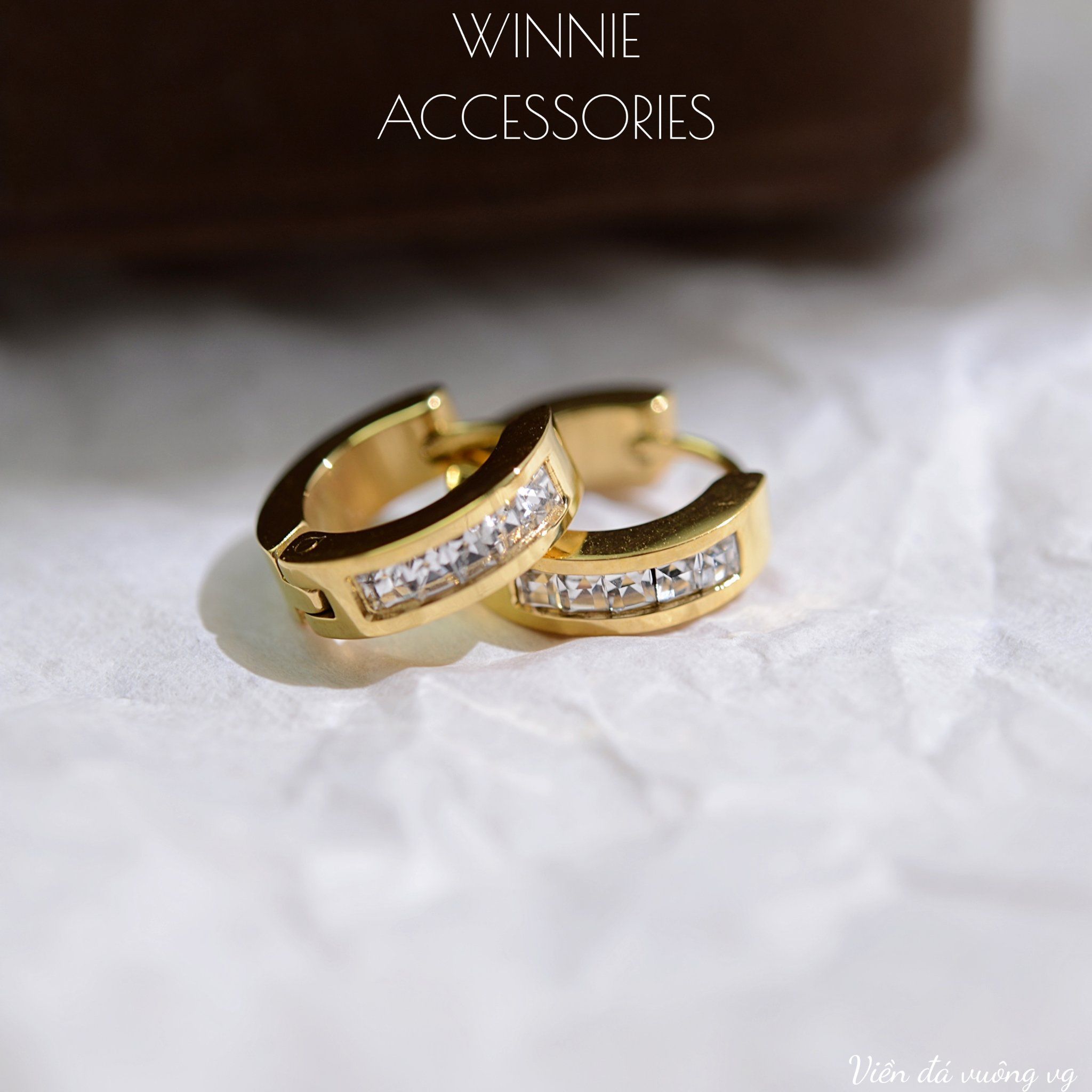  Hoa tai titan Viền đá vuông VG 