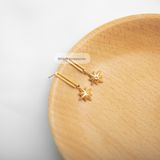  Hoa tai titan David star 