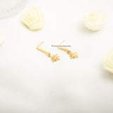  Hoa tai titan David star 