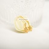  Hoa tai titan David star 