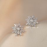  Hoa tai titan Tuyết Hoa 