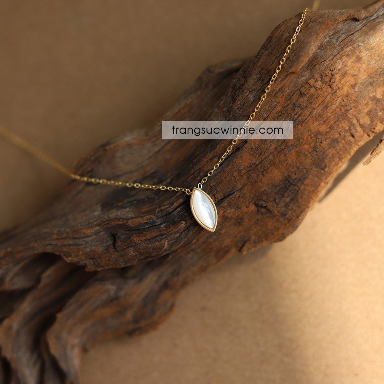  Dây chuyền titan Canarium 