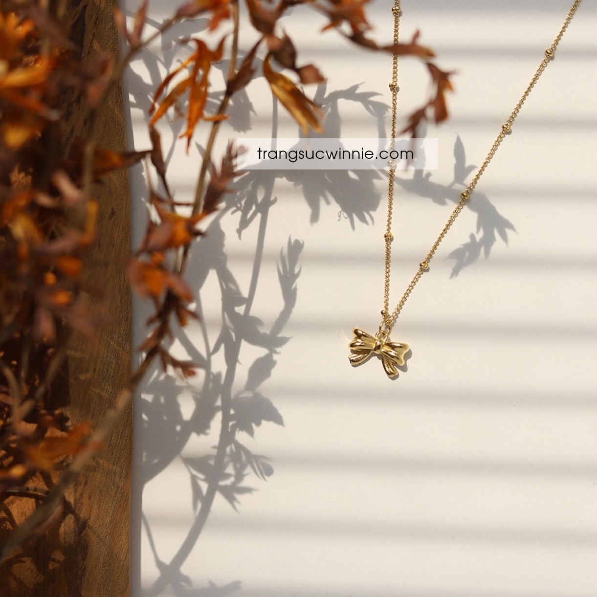  Dây chuyền titan Ribbon 