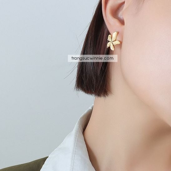  Hoa tai titan Apricot blossom 