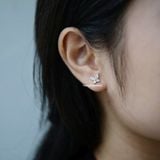 Hoa tai Bâc S925 Hồ điệp 