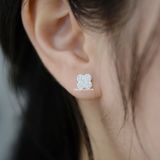  Hoa tai Bạc S925 Louis 