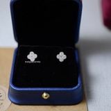  Hoa tai Bạc S925 Louis 