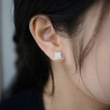  Hoa tai Bạc S925 Louis 