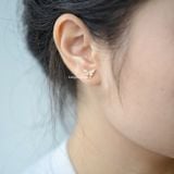  Hoa tai Titan Bi Bướm đá 