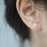  Hoa tai Titan Bi Diamond star 