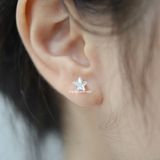  Hoa tai Titan Bi Diamond star 