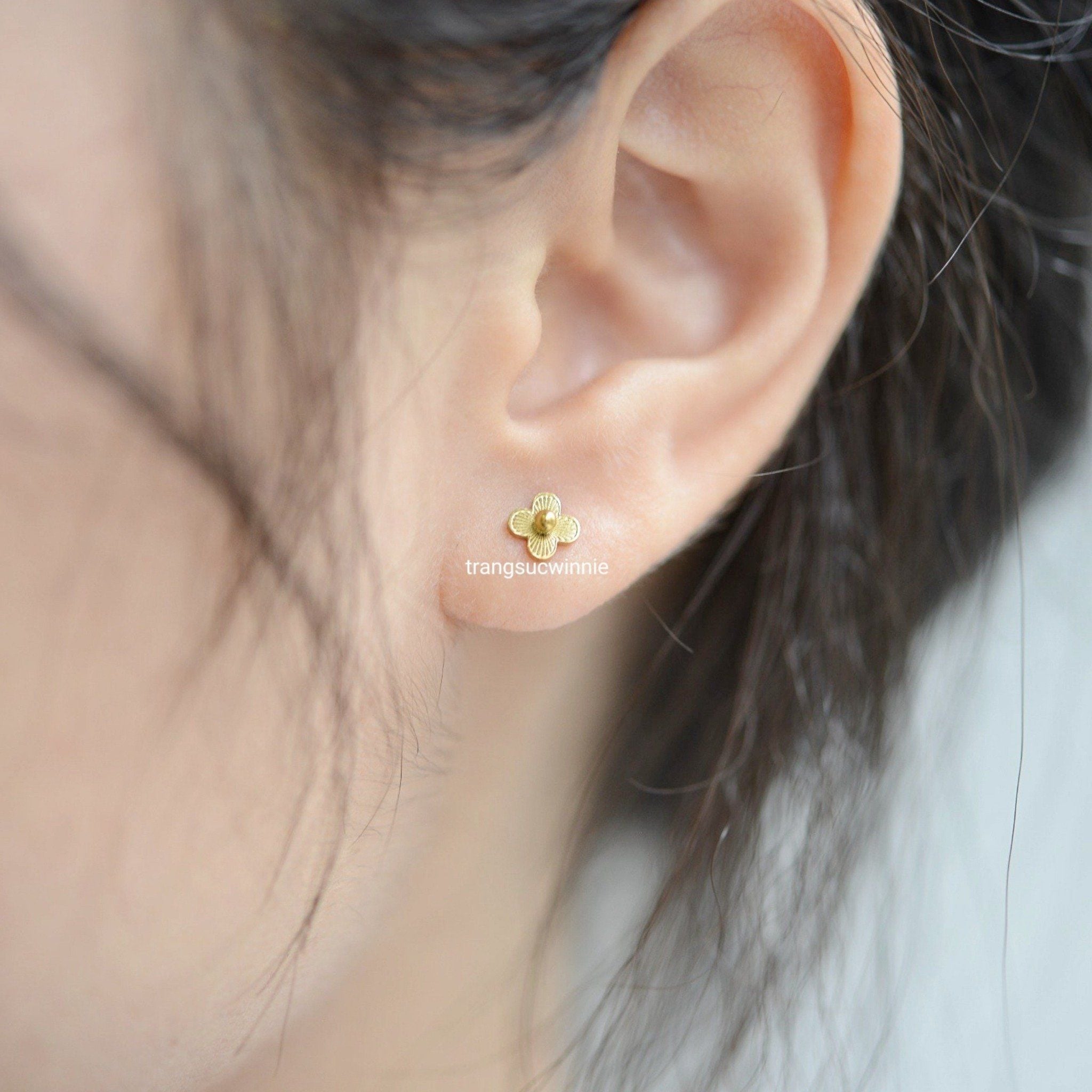  Hoa tai titan bi nhụy hoa 