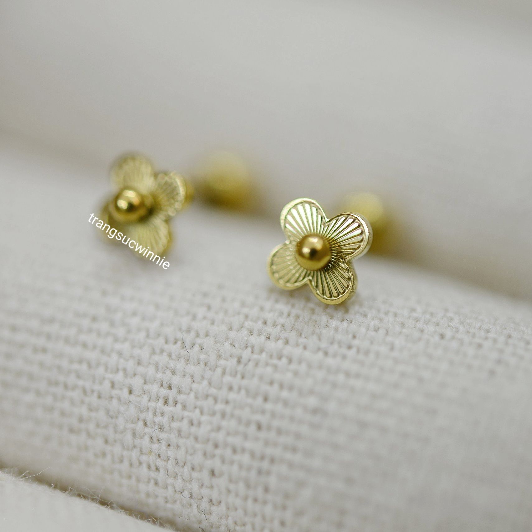  Hoa tai titan bi nhụy hoa 