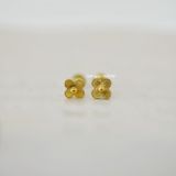  Hoa tai titan bi nhụy hoa 