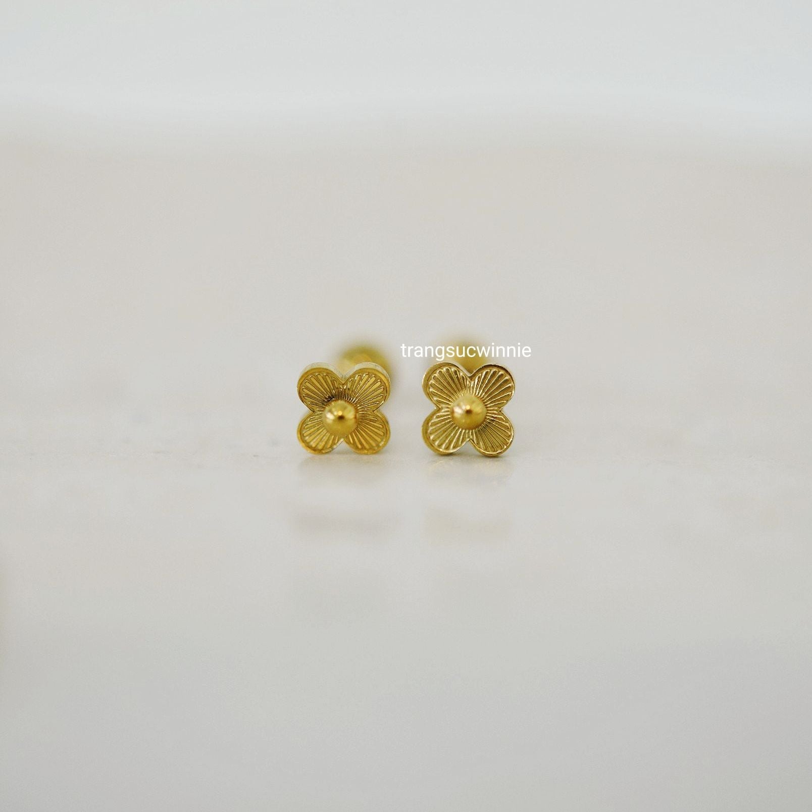  Hoa tai titan bi nhụy hoa 