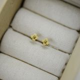  Hoa tai titan bi nhụy hoa 