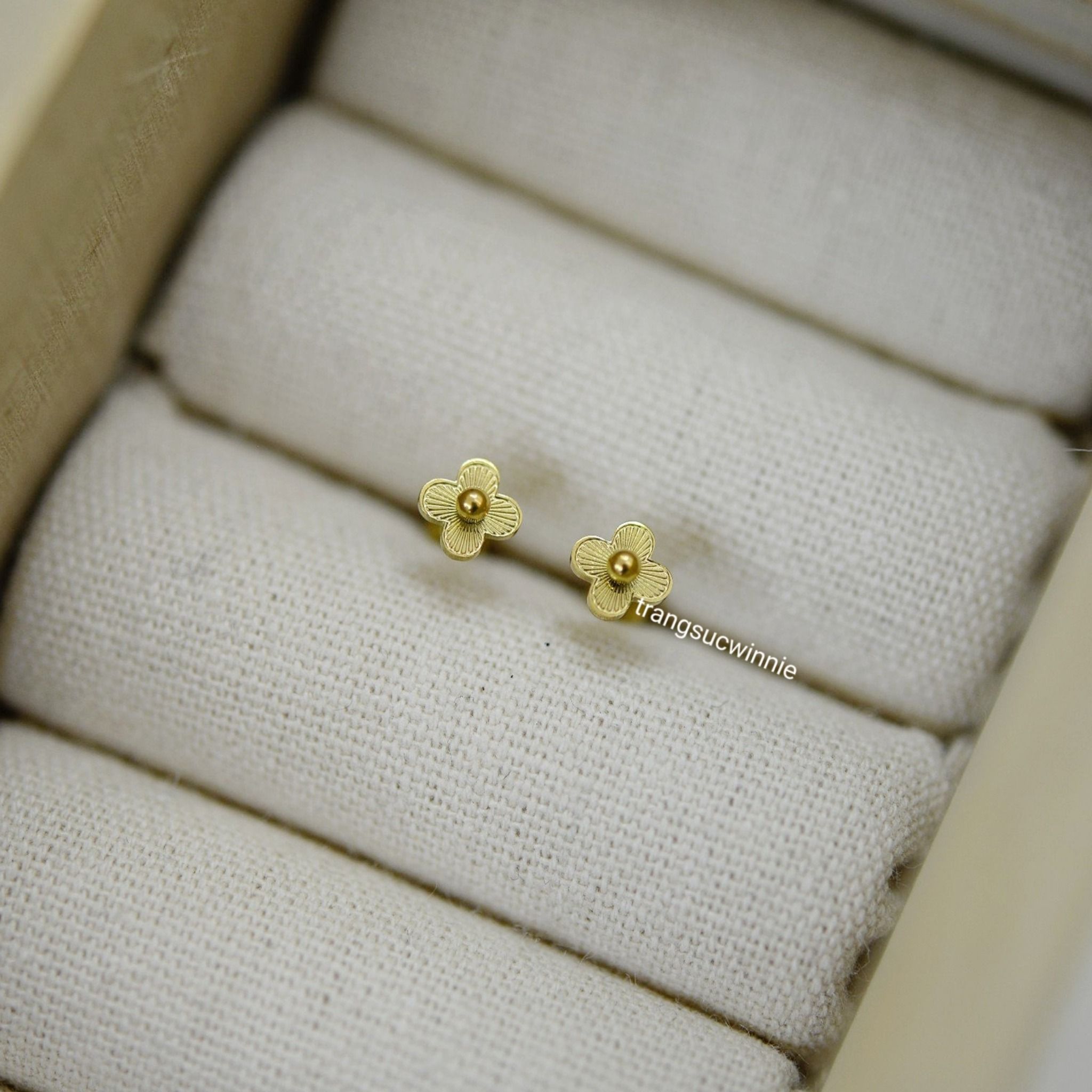  Hoa tai titan bi nhụy hoa 