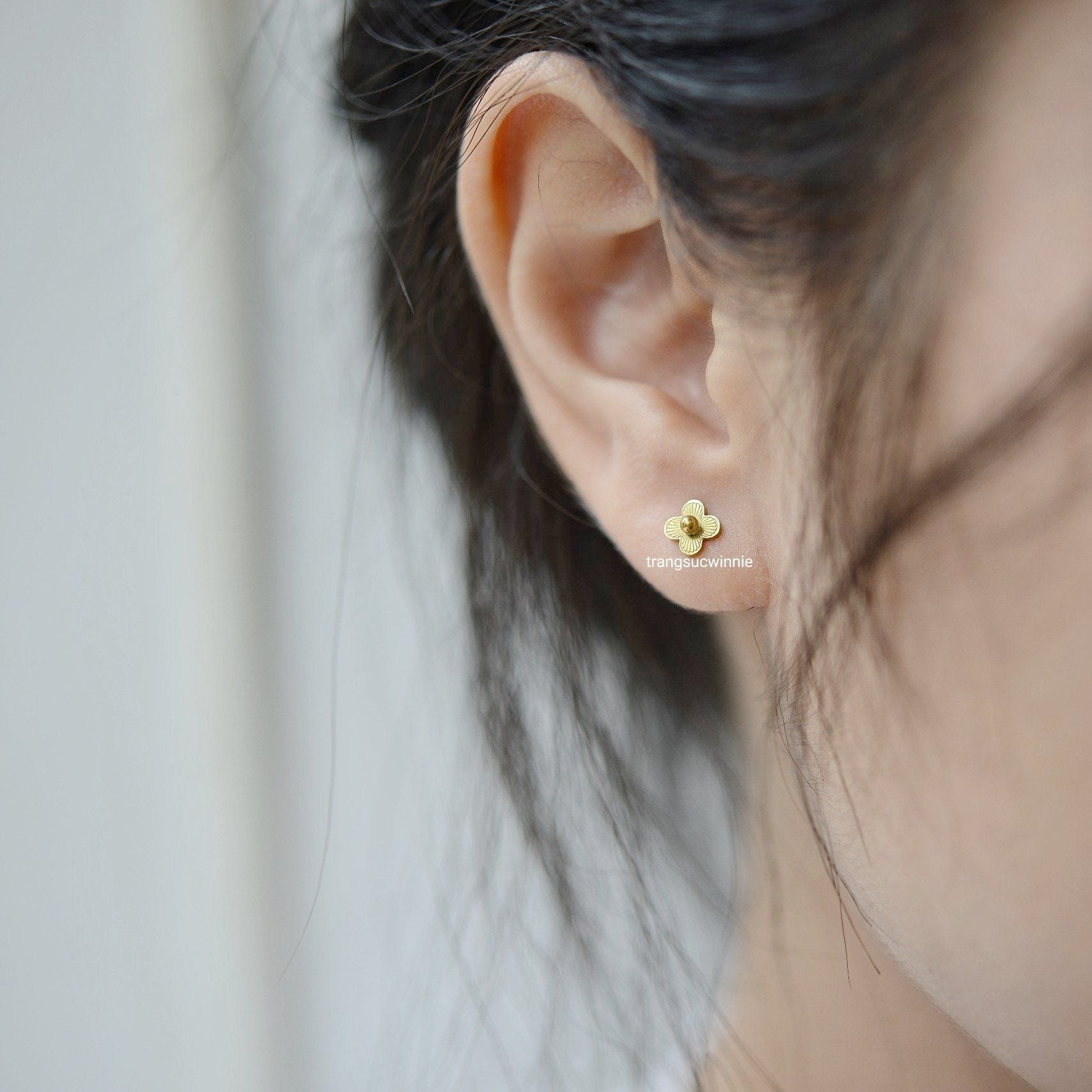  Hoa tai titan bi nhụy hoa 