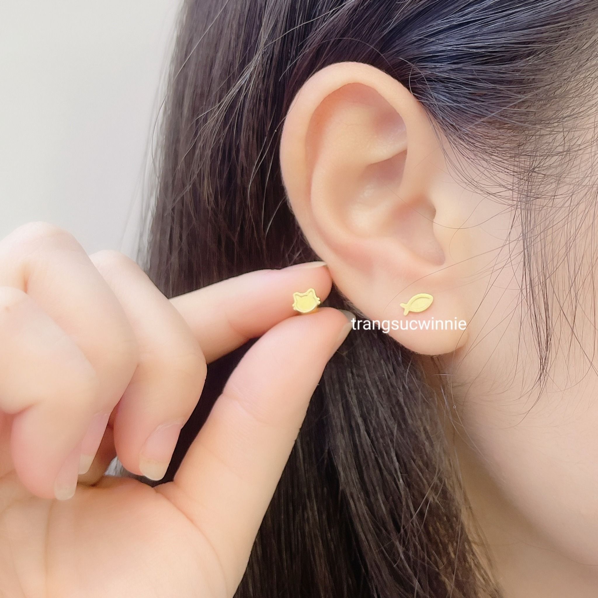  Hoa tai titan Bi Mèo cá 