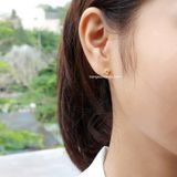  Hoa tai titan bi nhụy hoa 