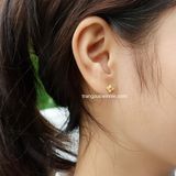  Hoa tai titan bi nhụy hoa 