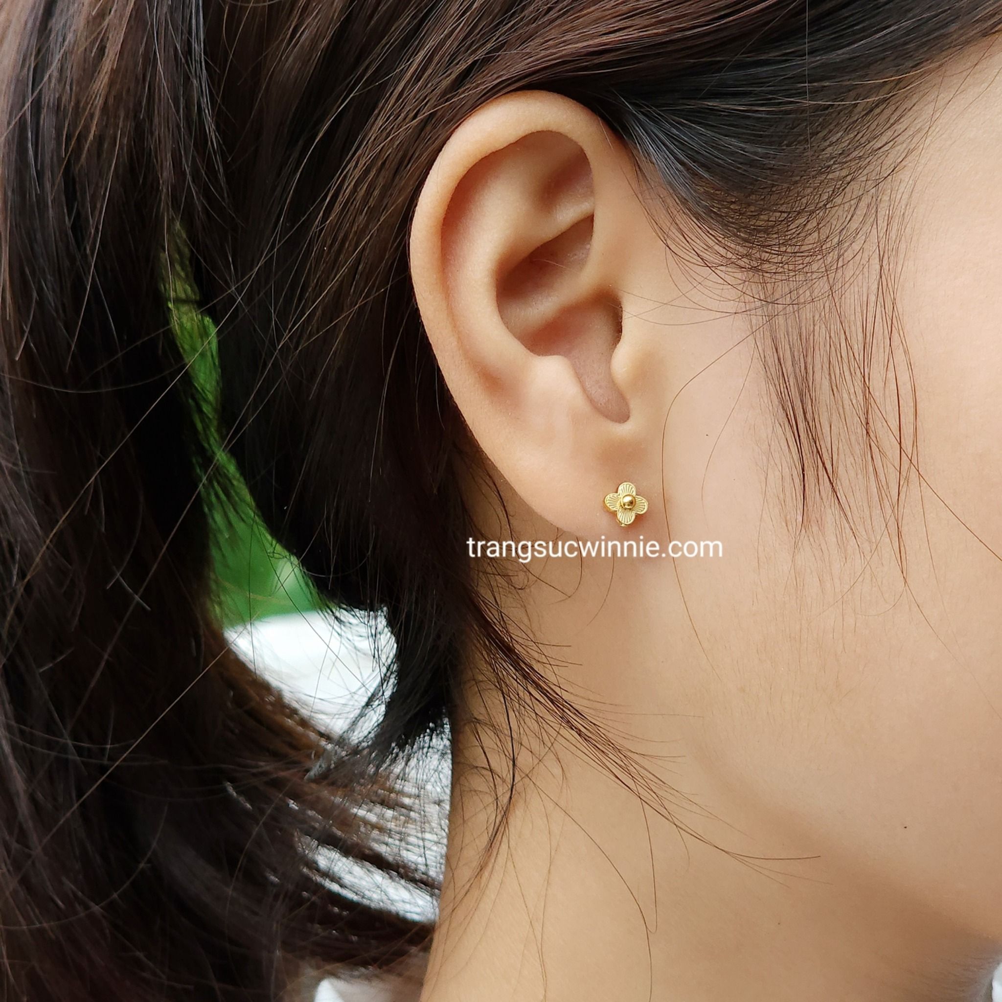  Hoa tai titan bi nhụy hoa 