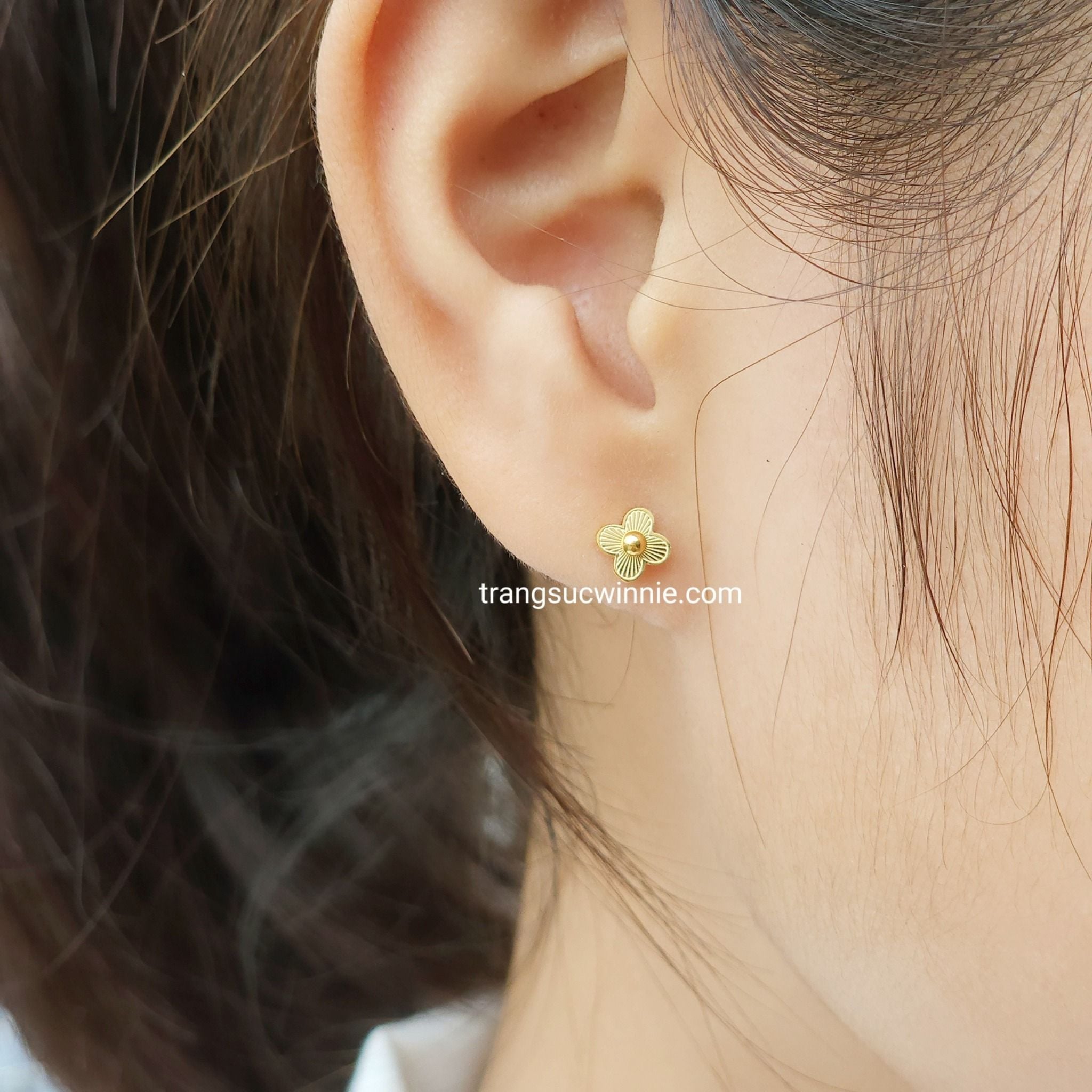  Hoa tai titan bi nhụy hoa 