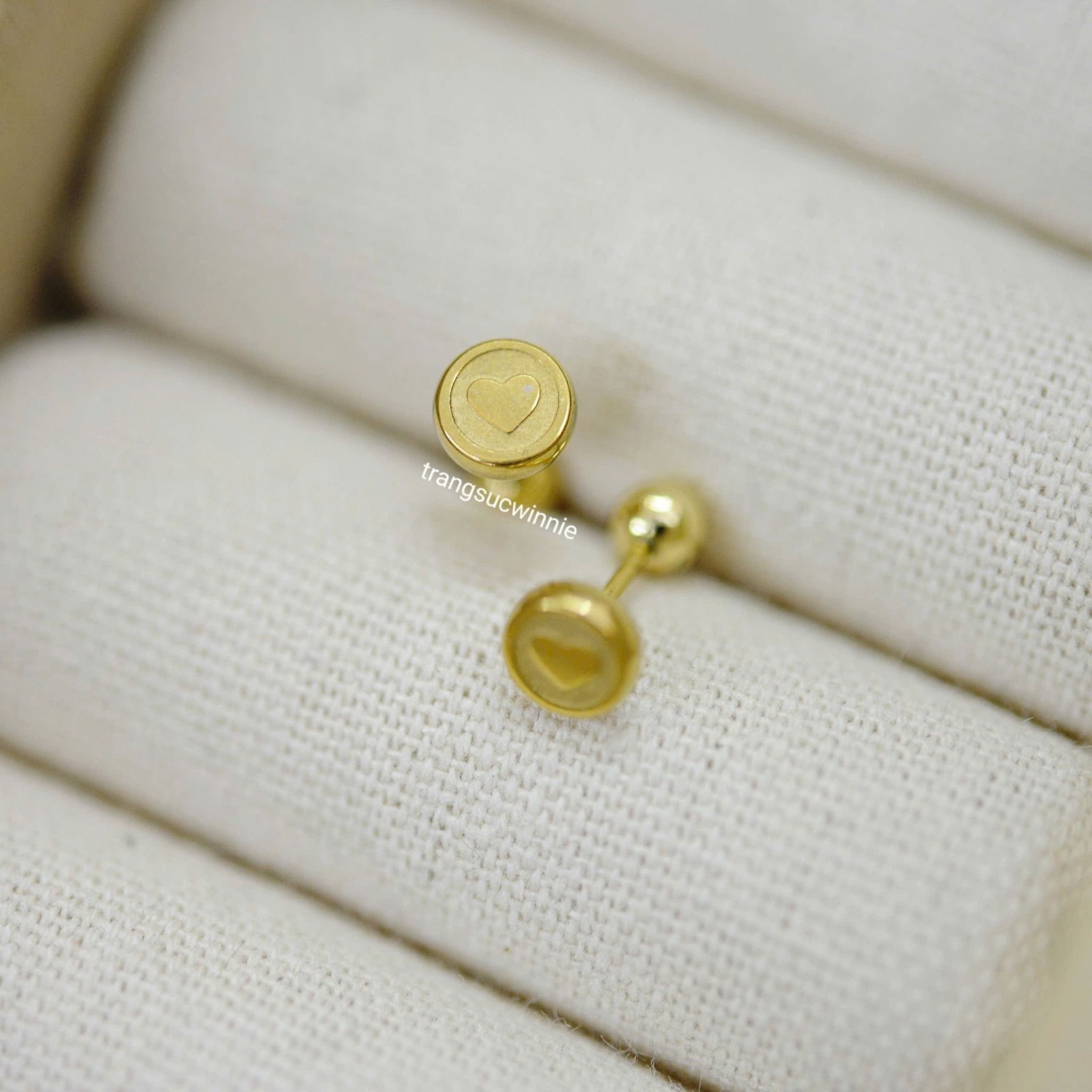  Hoa tai titan Bi tim tròn 