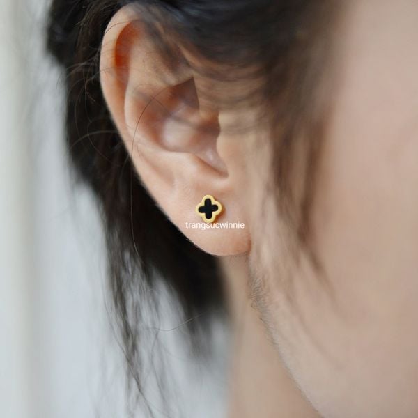  Hoa tai titan Bi VCA 