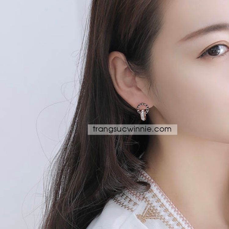  Hoa tai titan Bicy B 