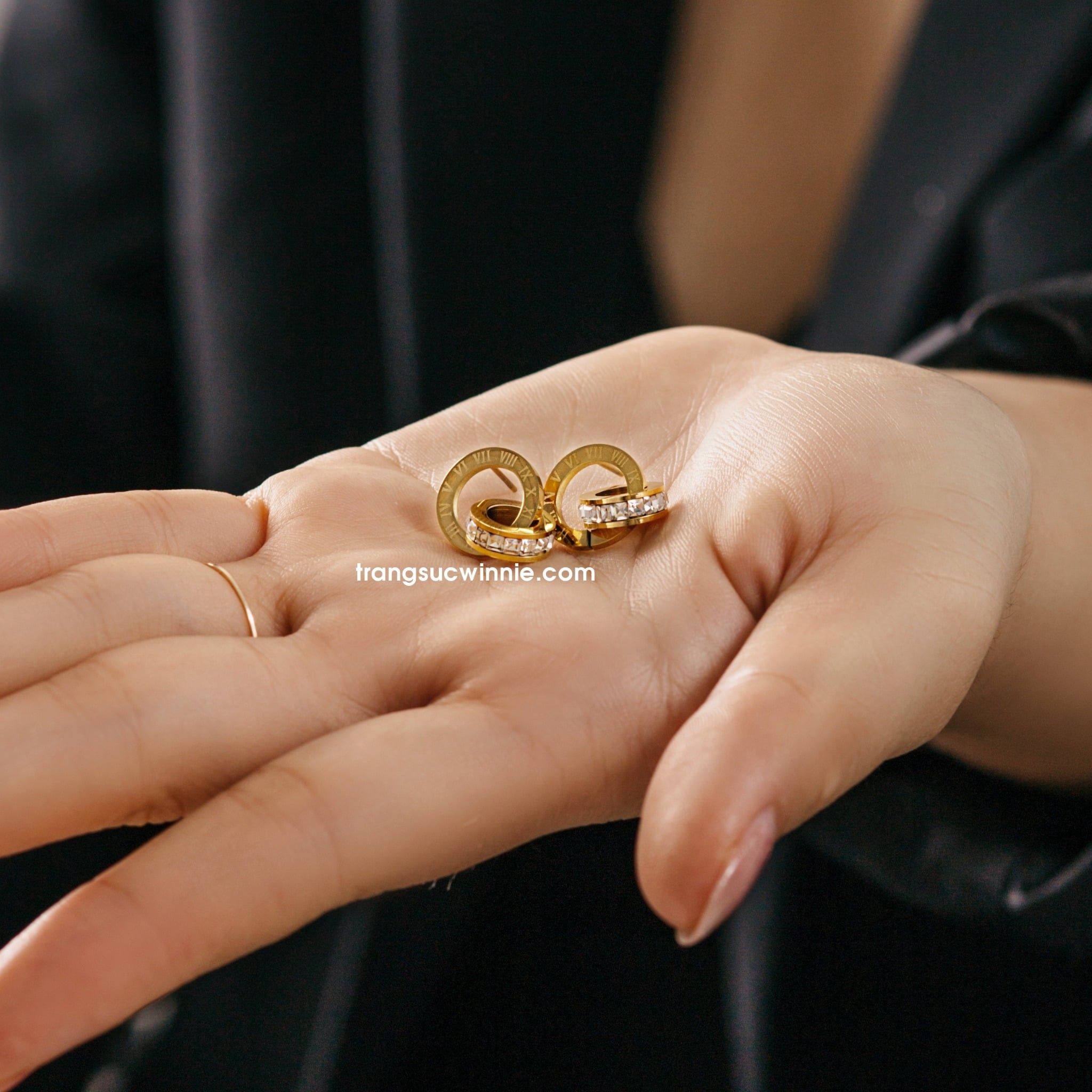  Hoa tai titan Bicy VG 