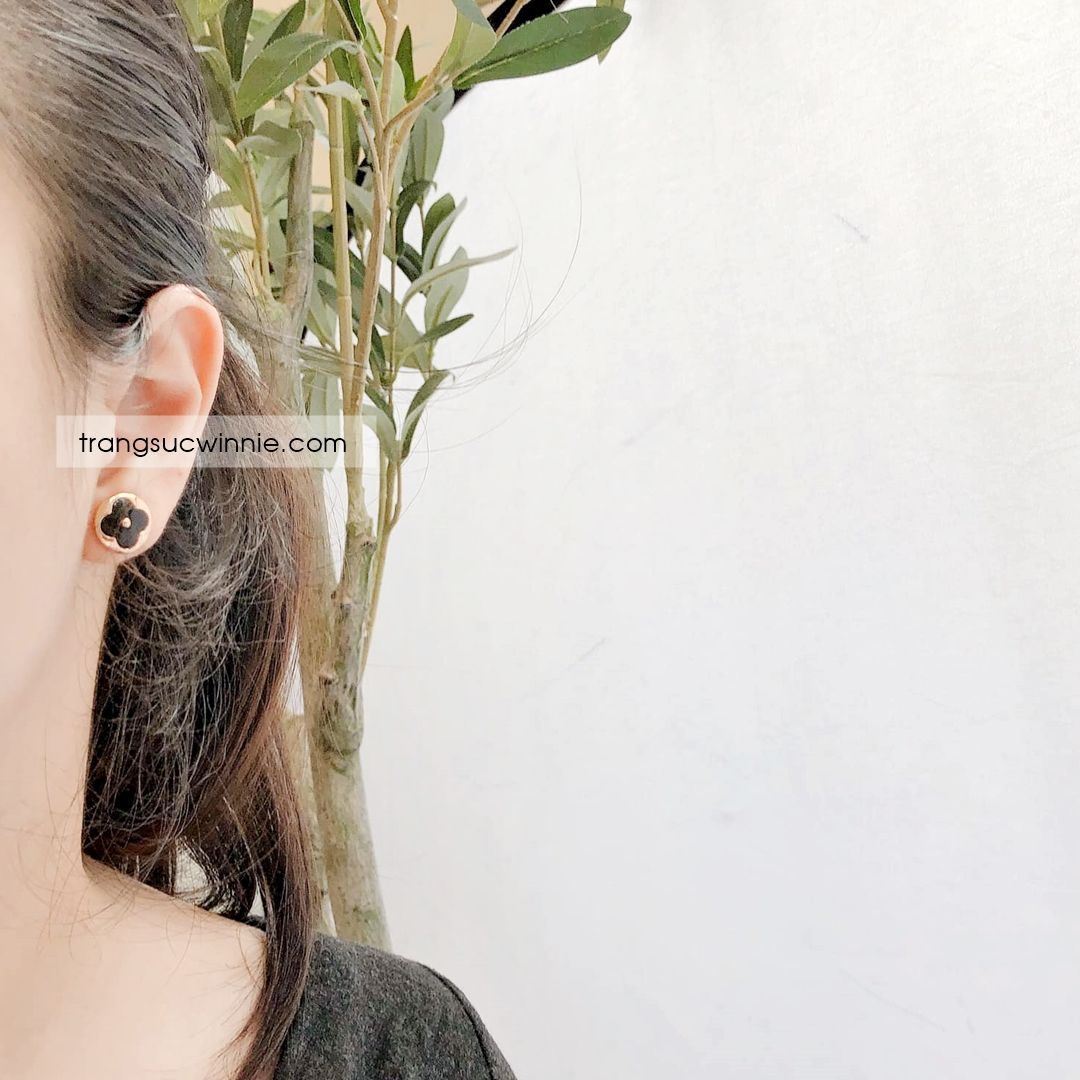  Hoa tai titan Blossom Sun 