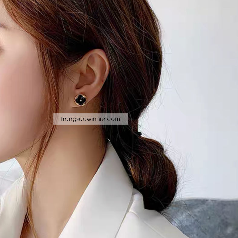  Hoa tai titan Blossom Sun 