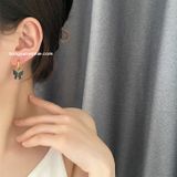  Hoa tai titan Bướm đen khoen 