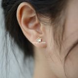  Hoa tai Titan bi Crystal star 