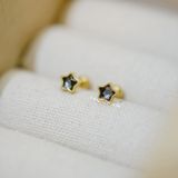  Hoa tai Titan bi Crystal star 