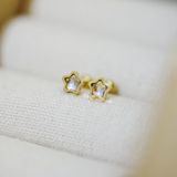  Hoa tai Titan bi Crystal star 