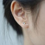  Hoa tai Titan bi Crystal star 