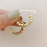  Hoa tai titan Đa diện 