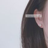  Hoa tai titan Đá vuông VG 