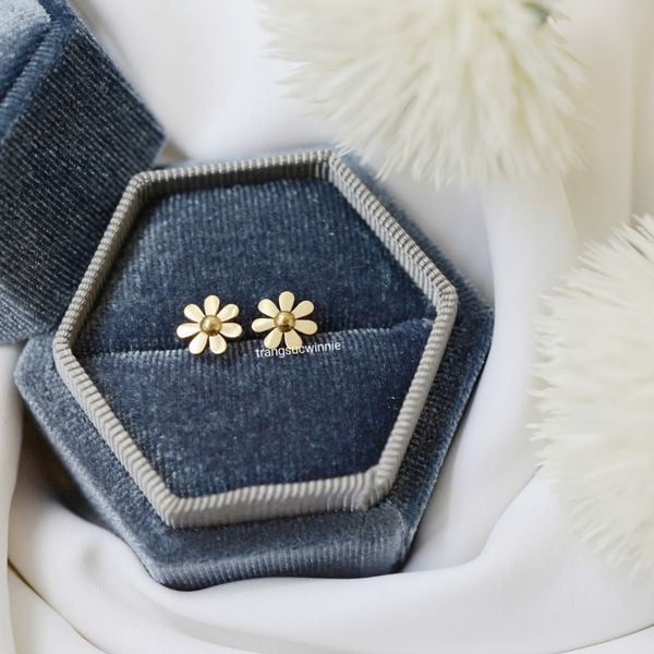  Hoa tai titan Daisy VG 