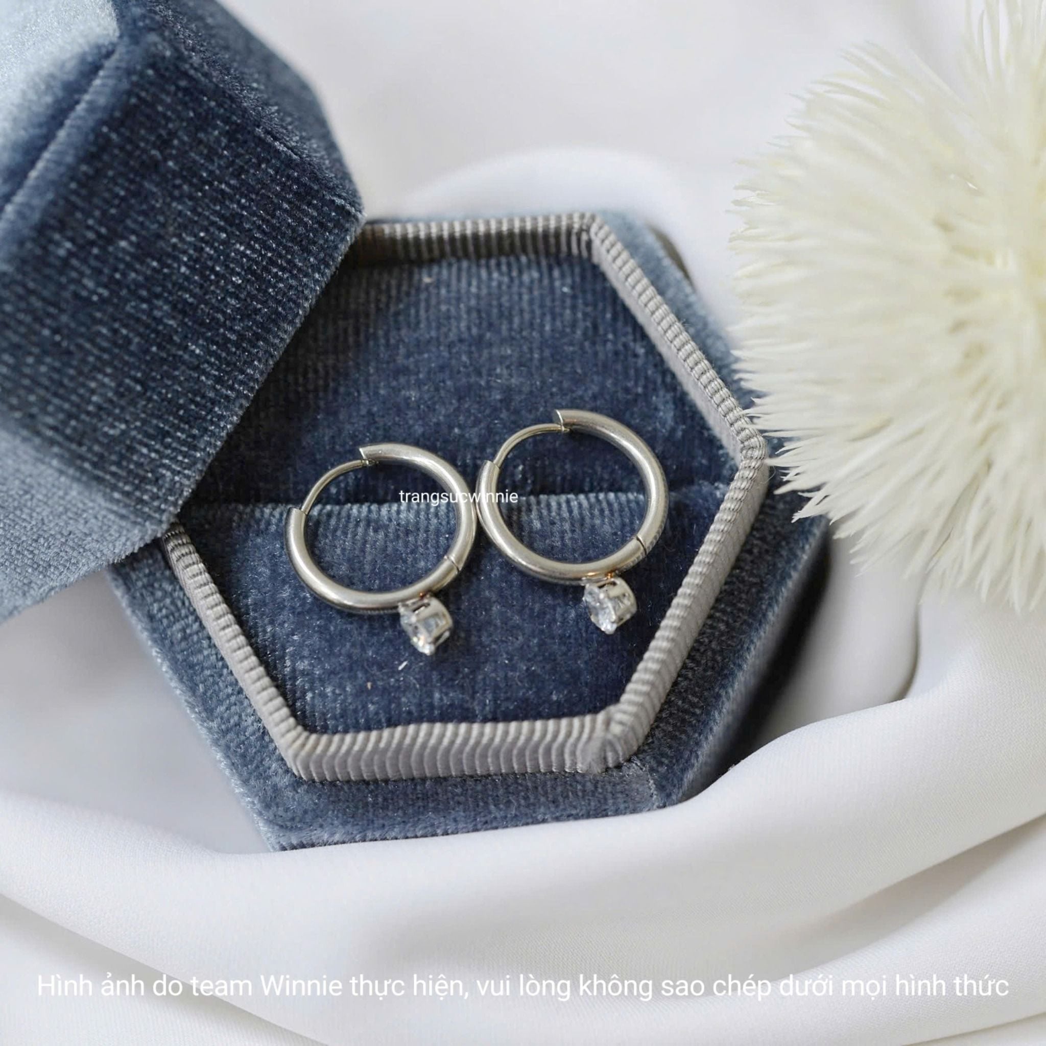  Hoa tai titan Jade B 