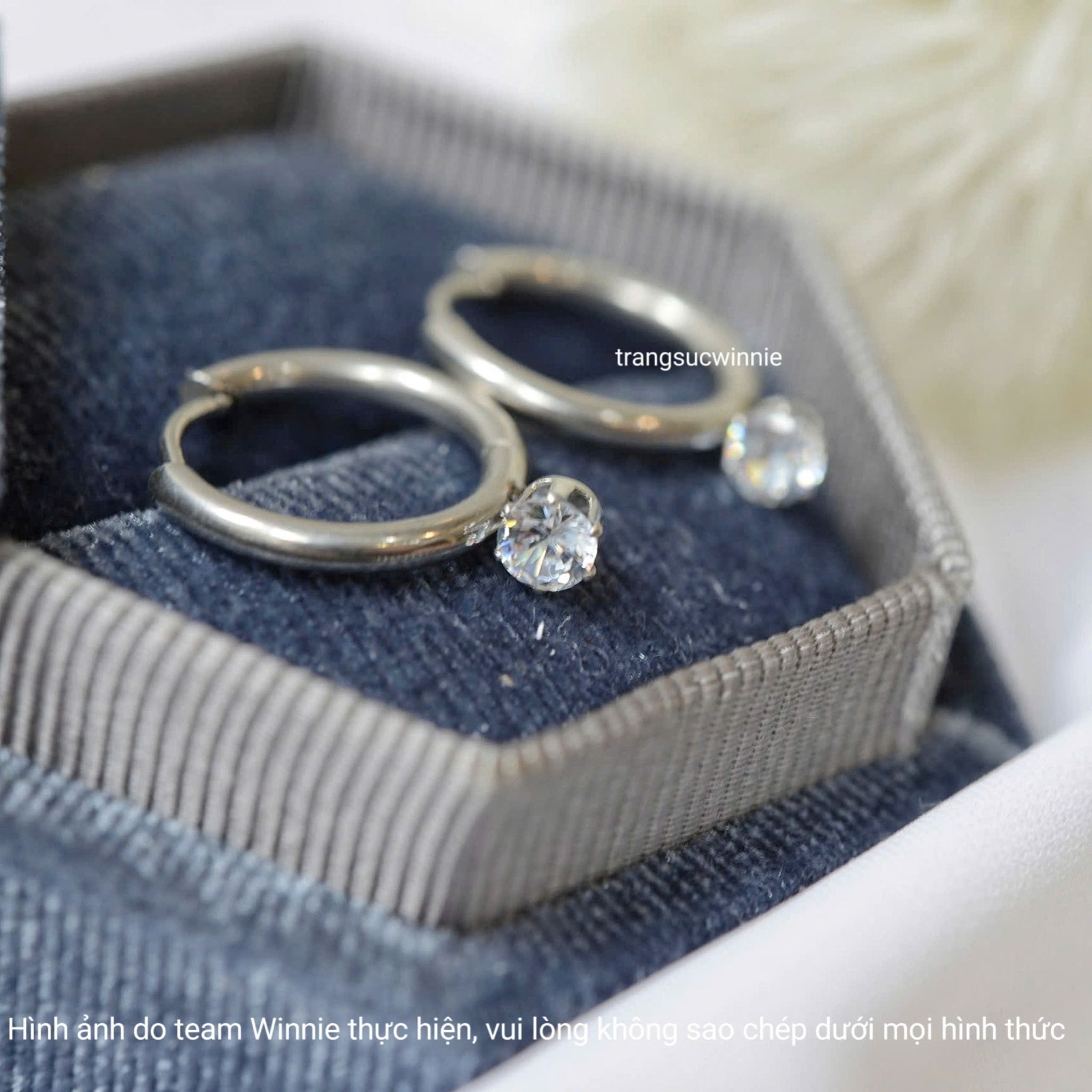  Hoa tai titan Jade B 